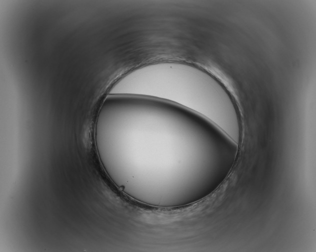 X0000088490009200705221032
