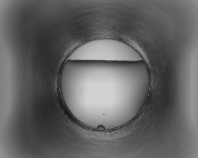 X0000088490010200705221032