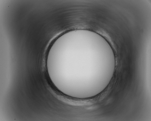 X0000088490012200705221032