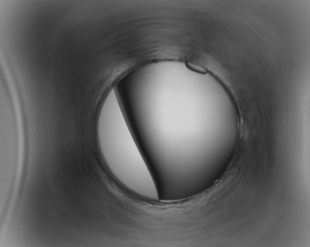 X0000088490013200705221032