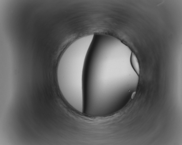 X0000088490019200705221032