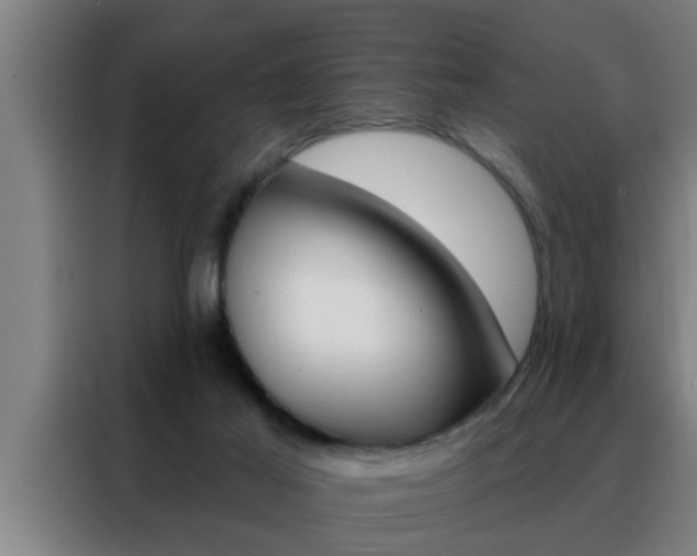 X0000088490021200705221032