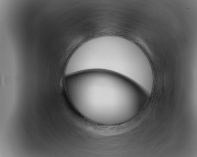 X0000088490023200705221032