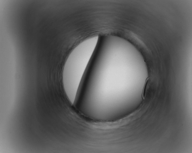 X0000088490025200705221032