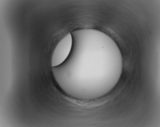 X0000088490026200705221032