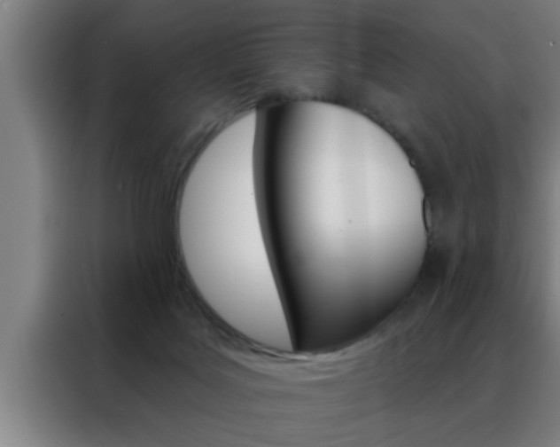 X0000088490027200705221032