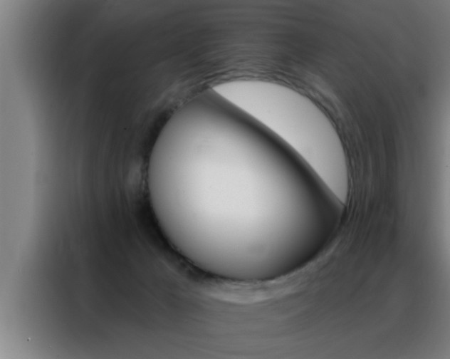 X0000088490029200705221032