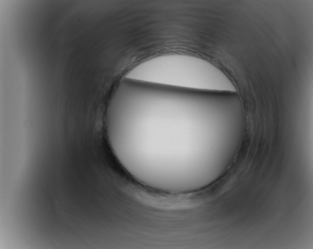 X0000088490032200705221032