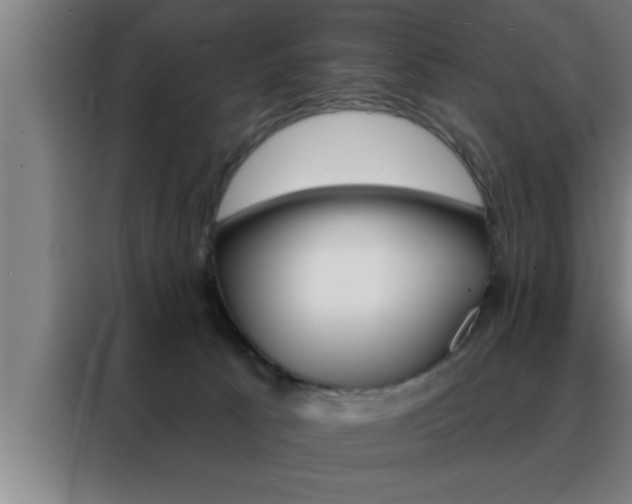 X0000088490033200705221032