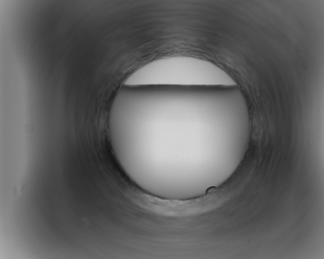 X0000088490034200705221032