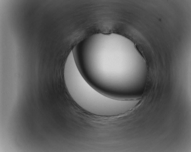 X0000088490037200705221032