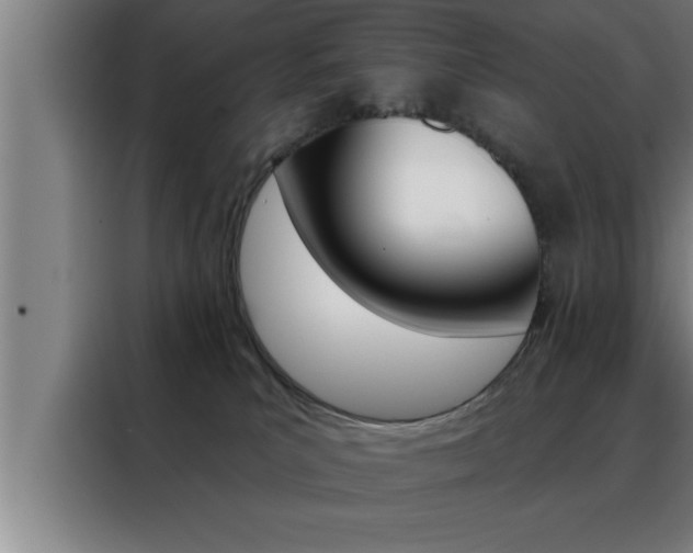 X0000088490039200705221031