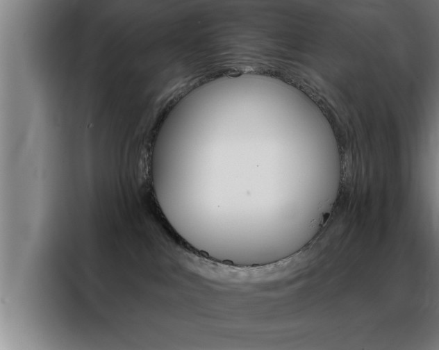 X0000088490043200705221031