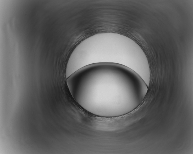 X0000088490045200705221031