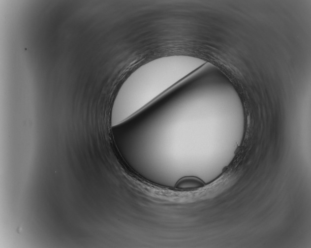 X0000088490048200705221031