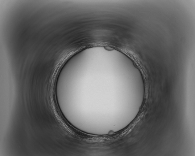 X0000088490049200705221031