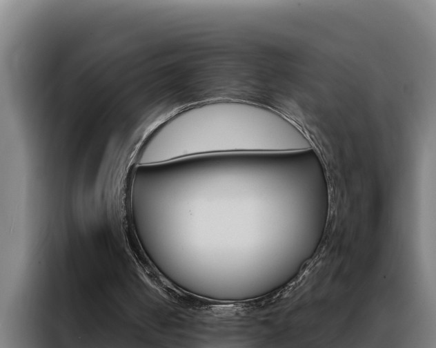X0000088490050200705221031