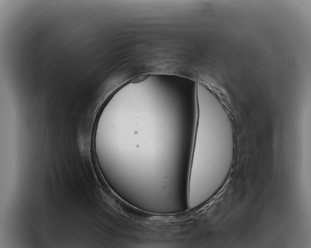 X0000088490051200705221031