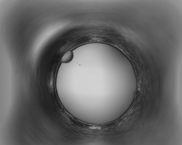 X0000088490052200705221031
