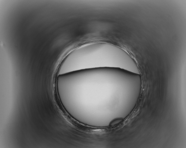 X0000088490053200705221031