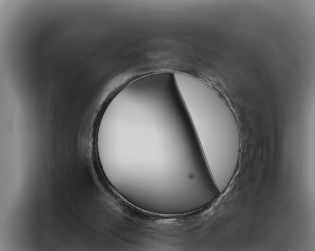 X0000088490054200705221031