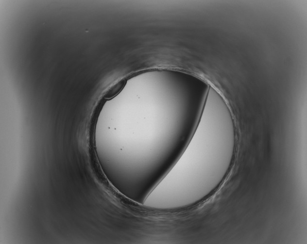 X0000088490055200705221031