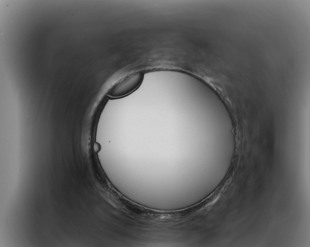 X0000088490056200705221031