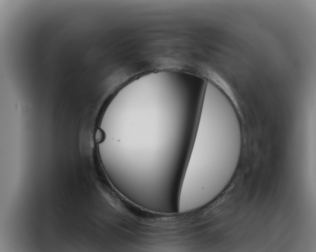 X0000088490059200705221031