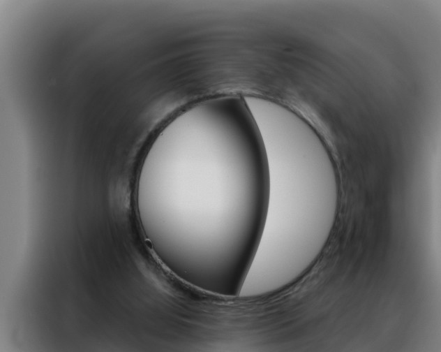 X0000088490060200705221031