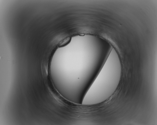 X0000088490062200705221031
