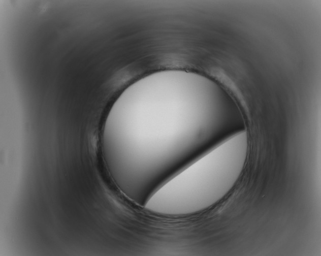 X0000088490063200705221031