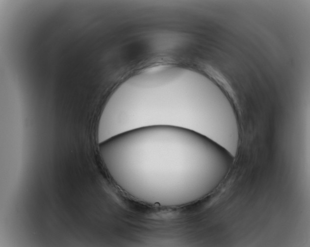 X0000088490065200705221031