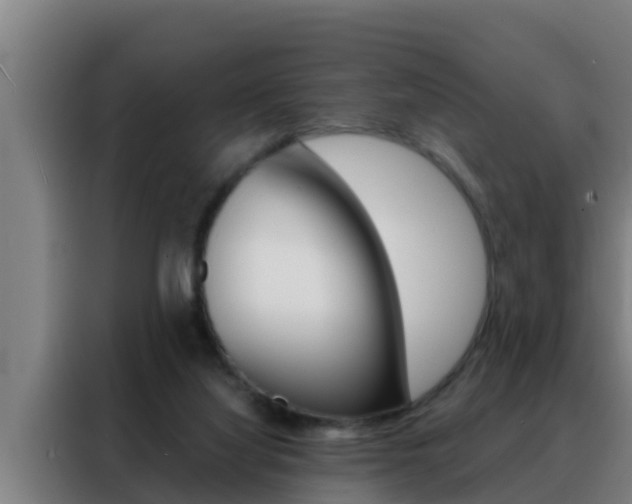X0000088490068200705221031