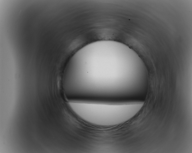 X0000088490071200705221031