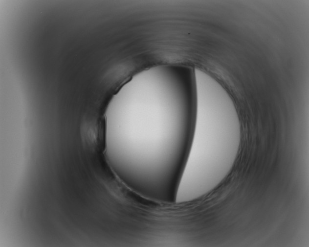 X0000088490072200705221031