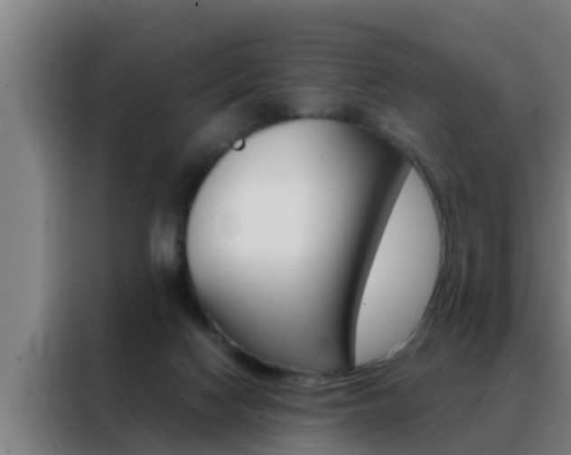 X0000088490074200705221031