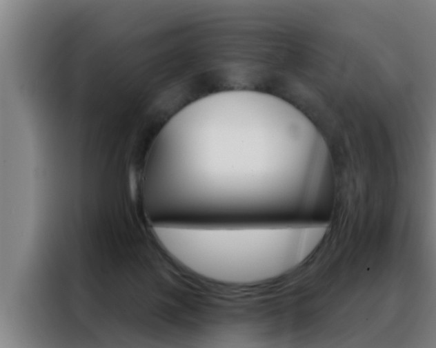 X0000088490075200705221031