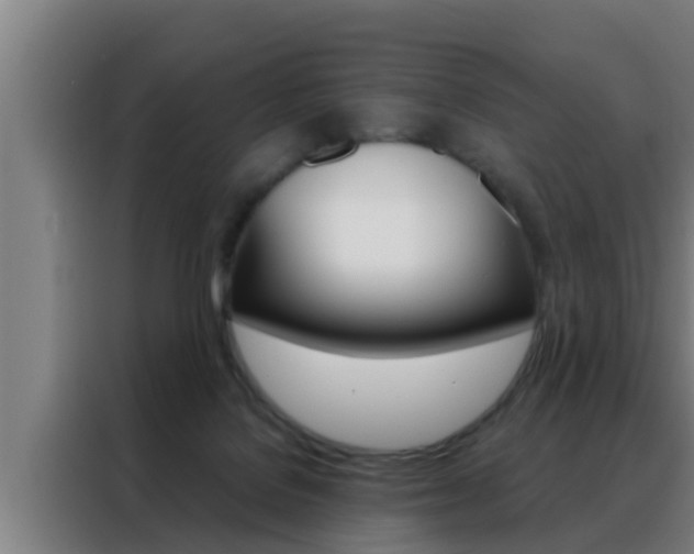 X0000088490076200705221031