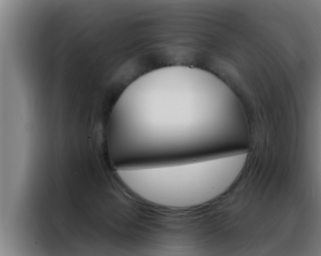 X0000088490077200705221031
