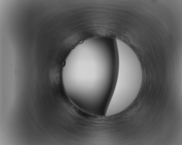X0000088490080200705221031