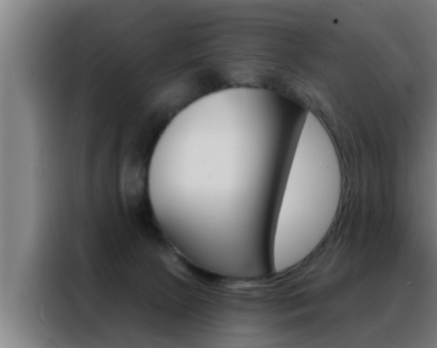 X0000088490081200705221031