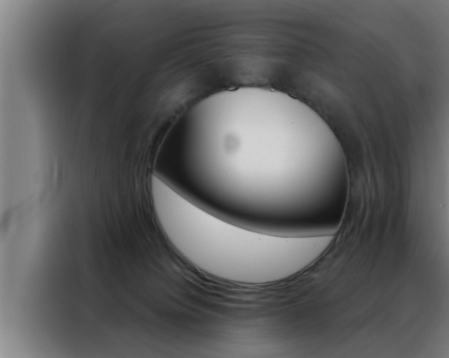 X0000088490084200705221031