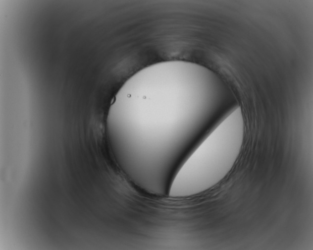 X0000088490085200705221031