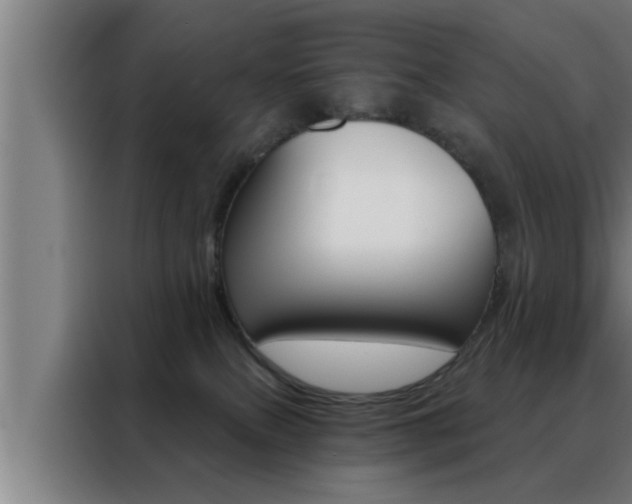 X0000088490087200705221031