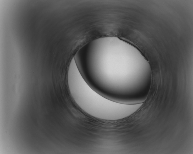X0000088490088200705221031
