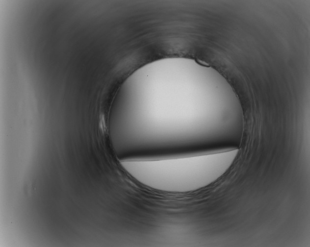 X0000088490089200705221031