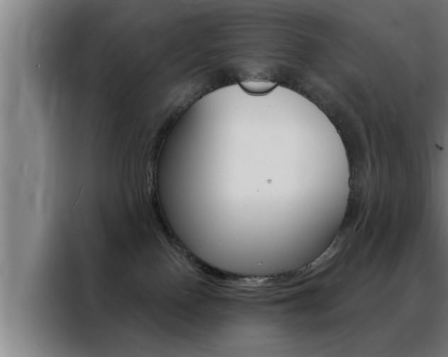 X0000088490090200705221031