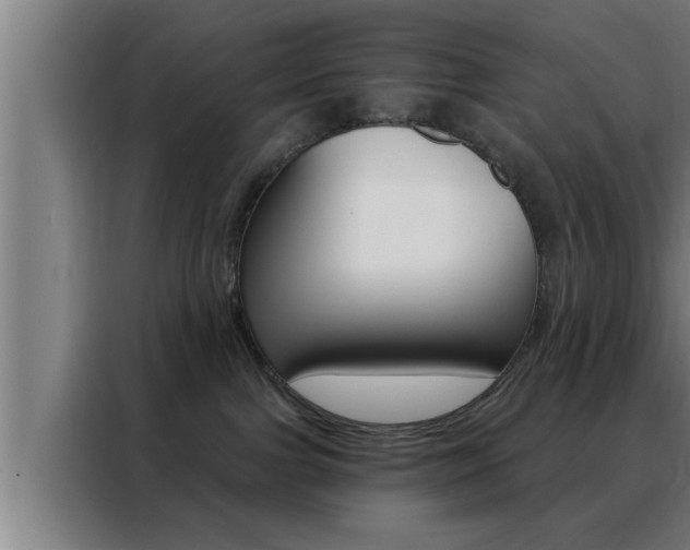X0000088490091200705221031