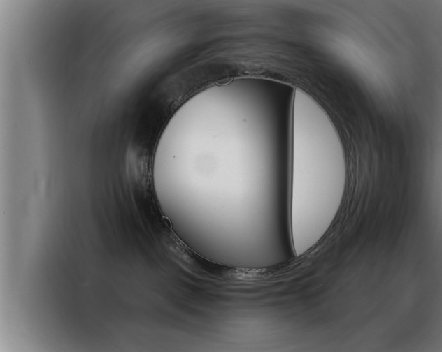 X0000088490093200705221031
