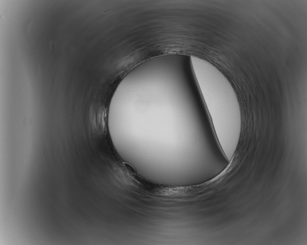 X0000088490094200705221031